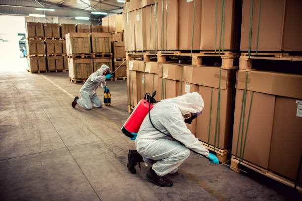 Best Best Pest Control Companies  in Fairview, MT