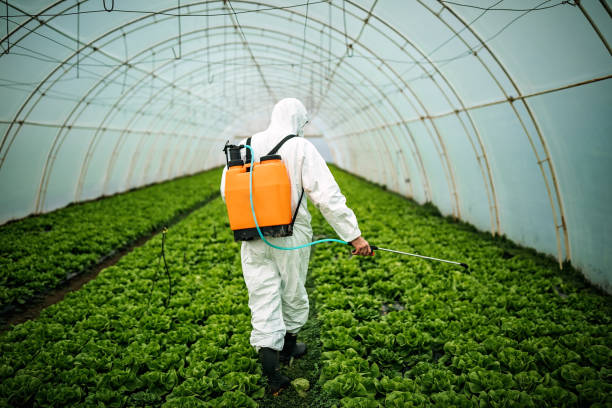 Best Local Pest Control Services  in Fairview, MT