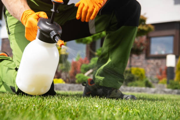 Wildlife Control Services in Fairview, MT