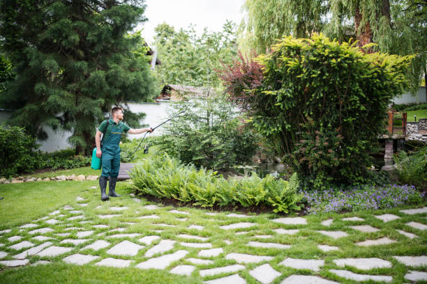 Best Commercial Pest Control Services  in Fairview, MT