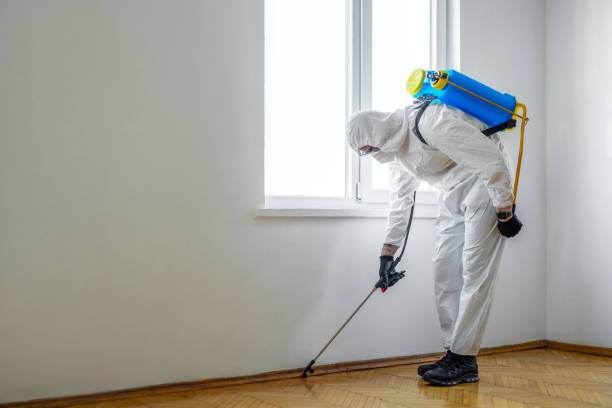 Best Bed Bug Extermination  in Fairview, MT